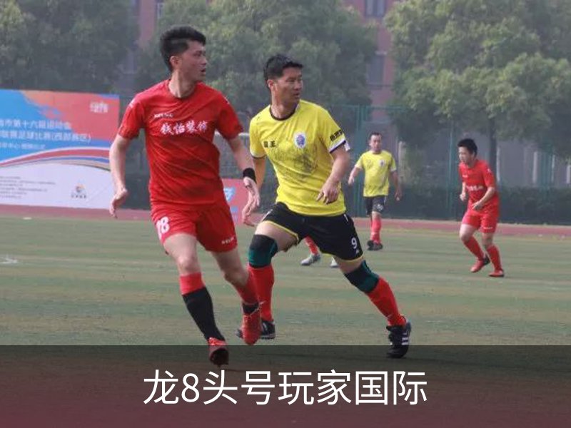 关于龙8头号玩家国际